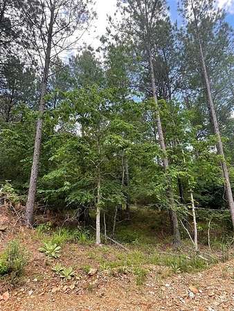 1.14 Acres of Residential Land for Sale in Broken Bow, Oklahoma