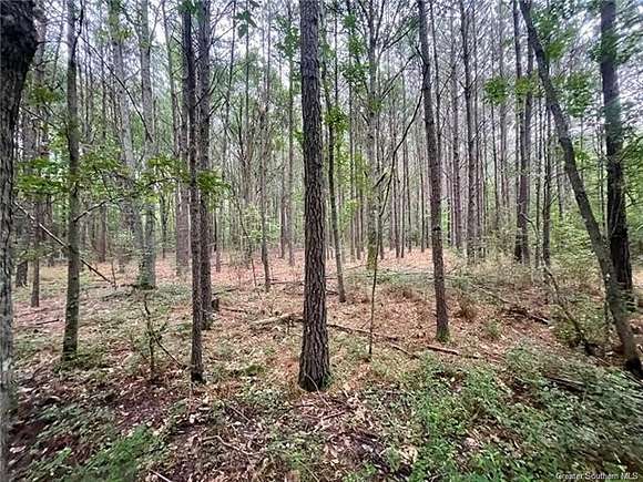 3 Acres of Residential Land for Sale in Elton, Louisiana