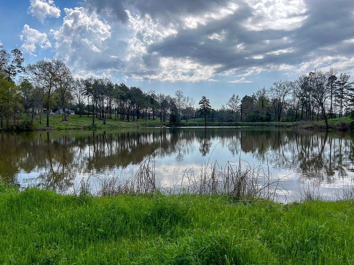 28.4 Acres of Recreational & Residential Land for Sale in Lufkin, Texas