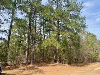 0.7 Acres of Land for Sale in Summerton, South Carolina
