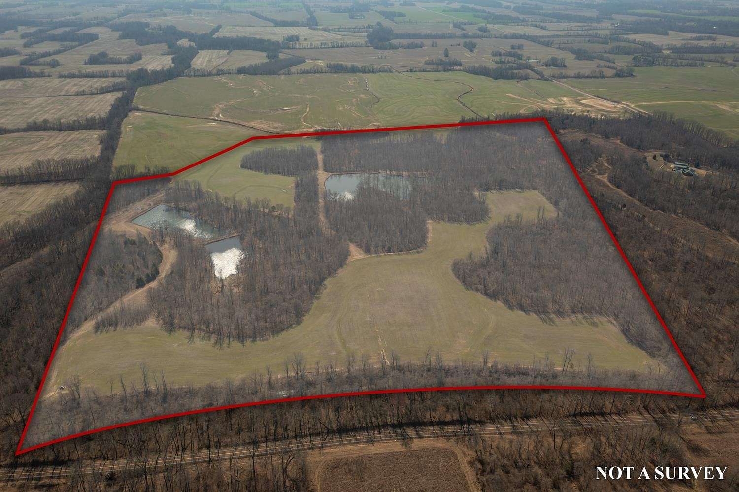 121.58 Acres of Land for Sale in Ripley, Tennessee