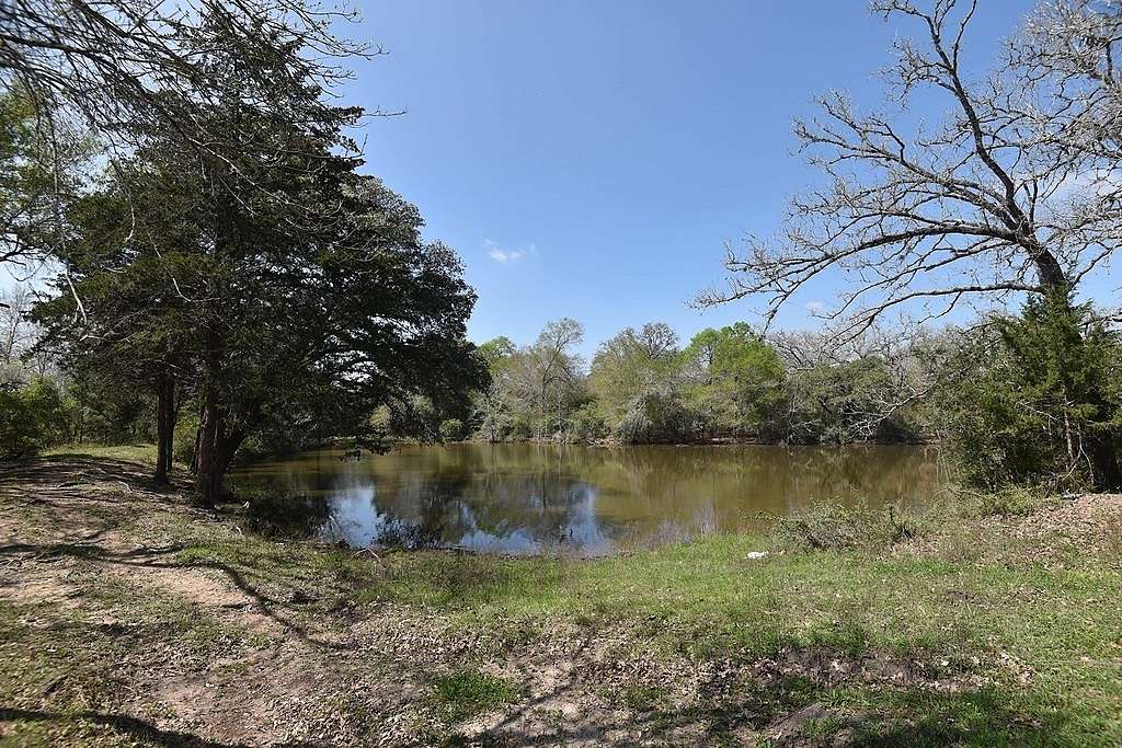 45.2 Acres of Recreational Land & Farm for Sale in Schulenburg, Texas