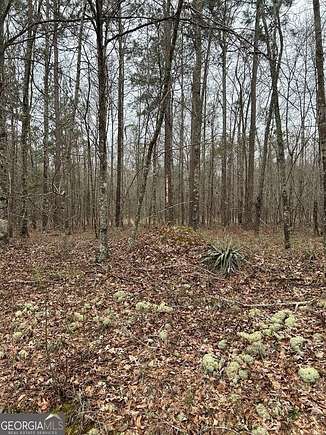 8.8 Acres of Residential Land for Sale in Cadwell, Georgia