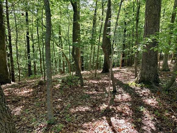 6.4 Acres of Residential Land for Sale in Goodview, Virginia