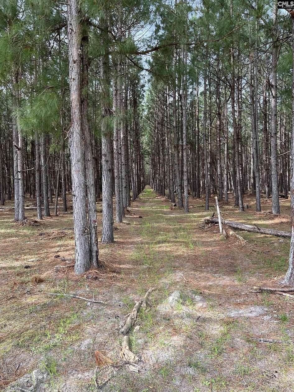 93.4 Acres of Land for Sale in Manning, South Carolina