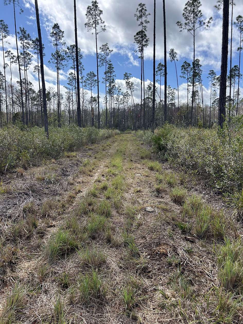 42.3 Acres of Recreational Land for Sale in Greenville, Florida