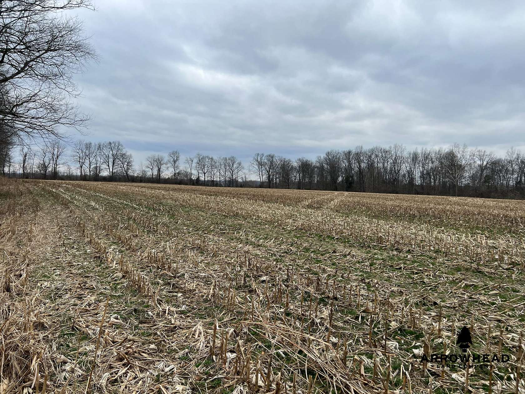 41 Acres of Recreational Land & Farm for Sale in Peebles, Ohio