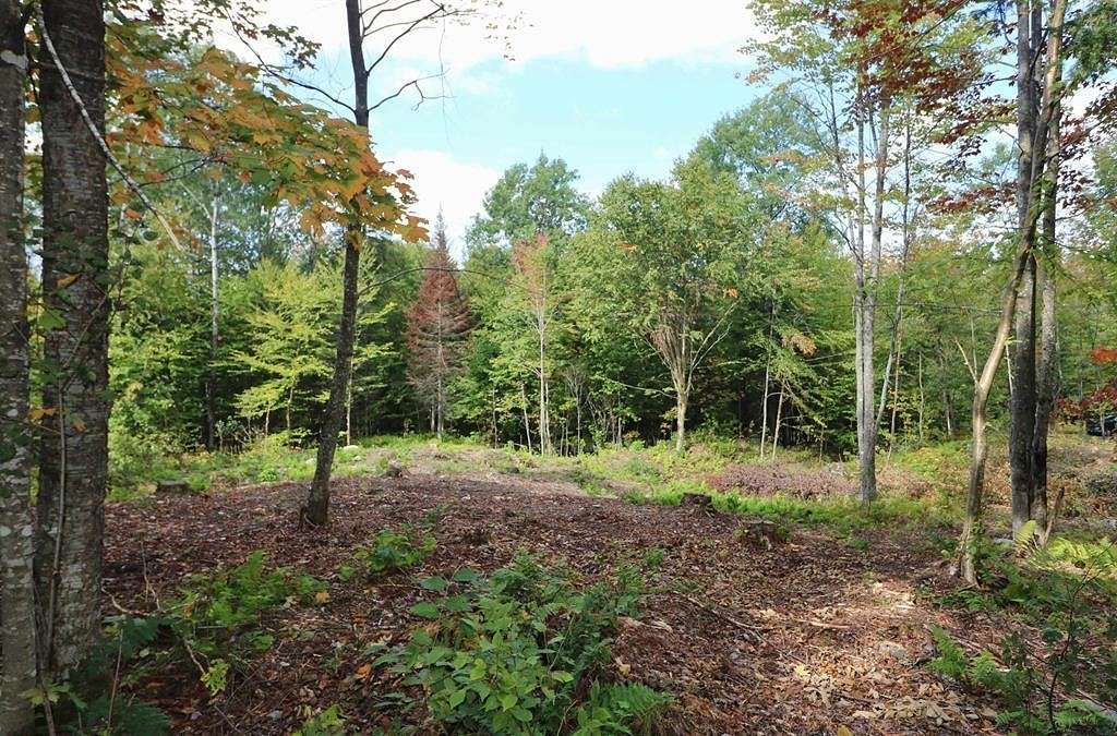 11.8 Acres of Land for Sale in Dummer, New Hampshire
