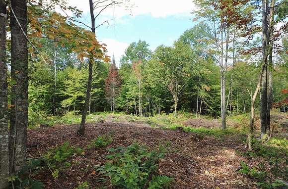 11.8 Acres of Land for Sale in Dummer, New Hampshire