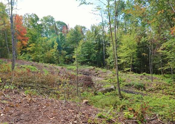 11.79 Acres of Land for Sale in Dummer, New Hampshire - LandSearch