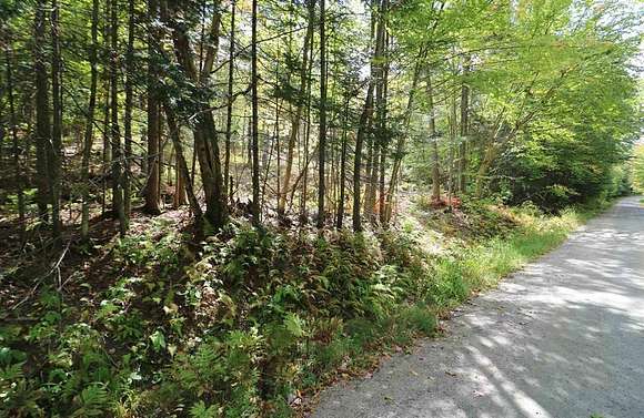 11.79 Acres of Land for Sale in Dummer, New Hampshire - LandSearch