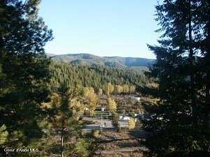 0.56 Acres of Residential Land for Sale in Pinehurst, Idaho