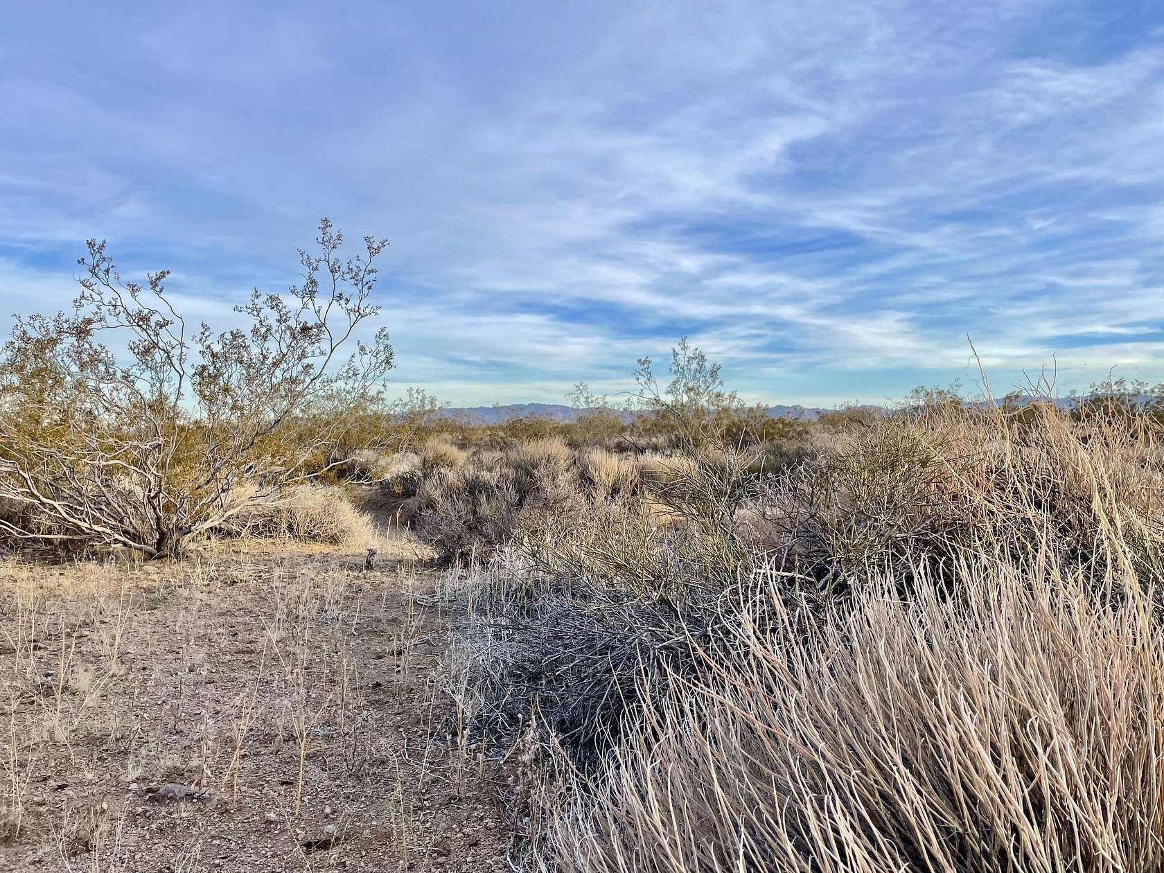 Residential Land for Sale in Joshua Tree, California
