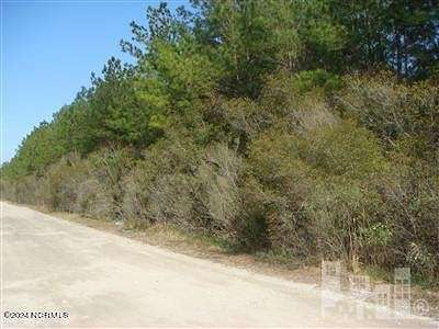 0.95 Acres of Residential Land for Sale in Hampstead, North Carolina