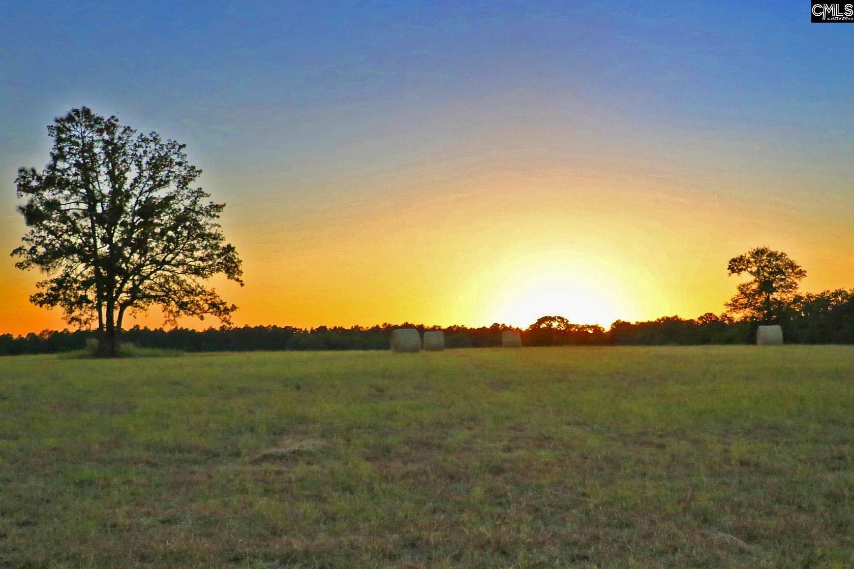 260 Acres of Agricultural Land for Sale in Wagener, South Carolina