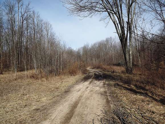 40 Acres of Recreational Land for Sale in Alden, Michigan