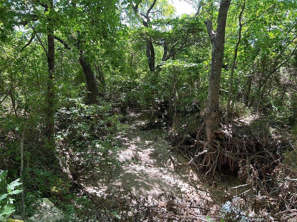 24.5 Acres of Land for Sale in Whitewright, Texas