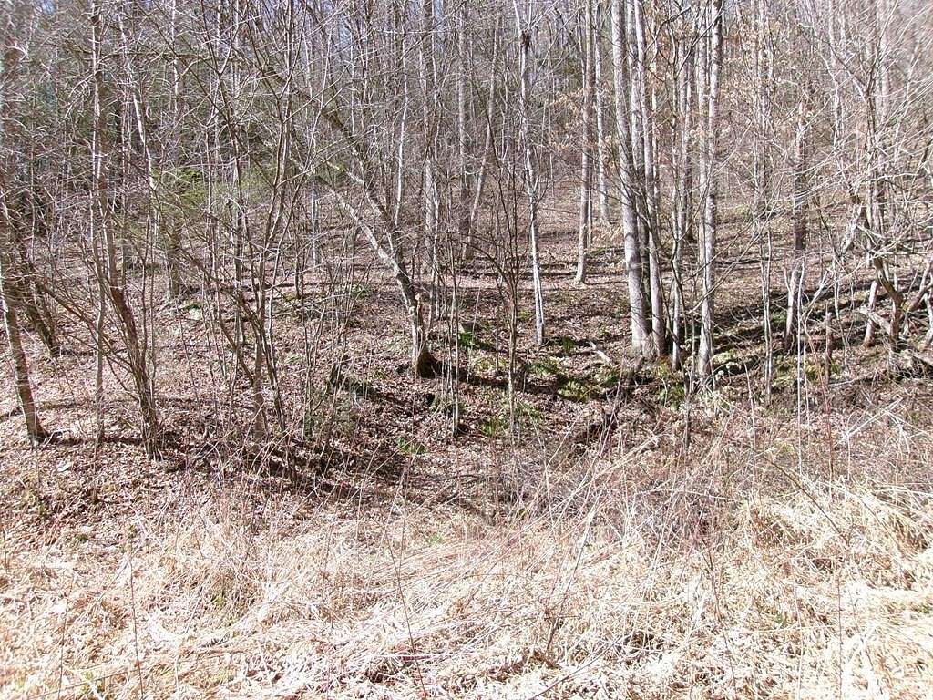 9.21 Acres of Agricultural Land for Sale in Pineville, West Virginia