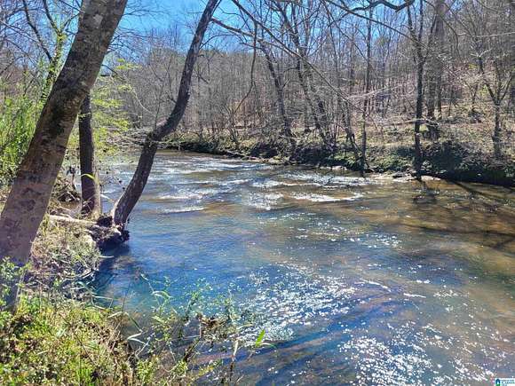 33.5 Acres of Recreational Land for Sale in Calera, Alabama