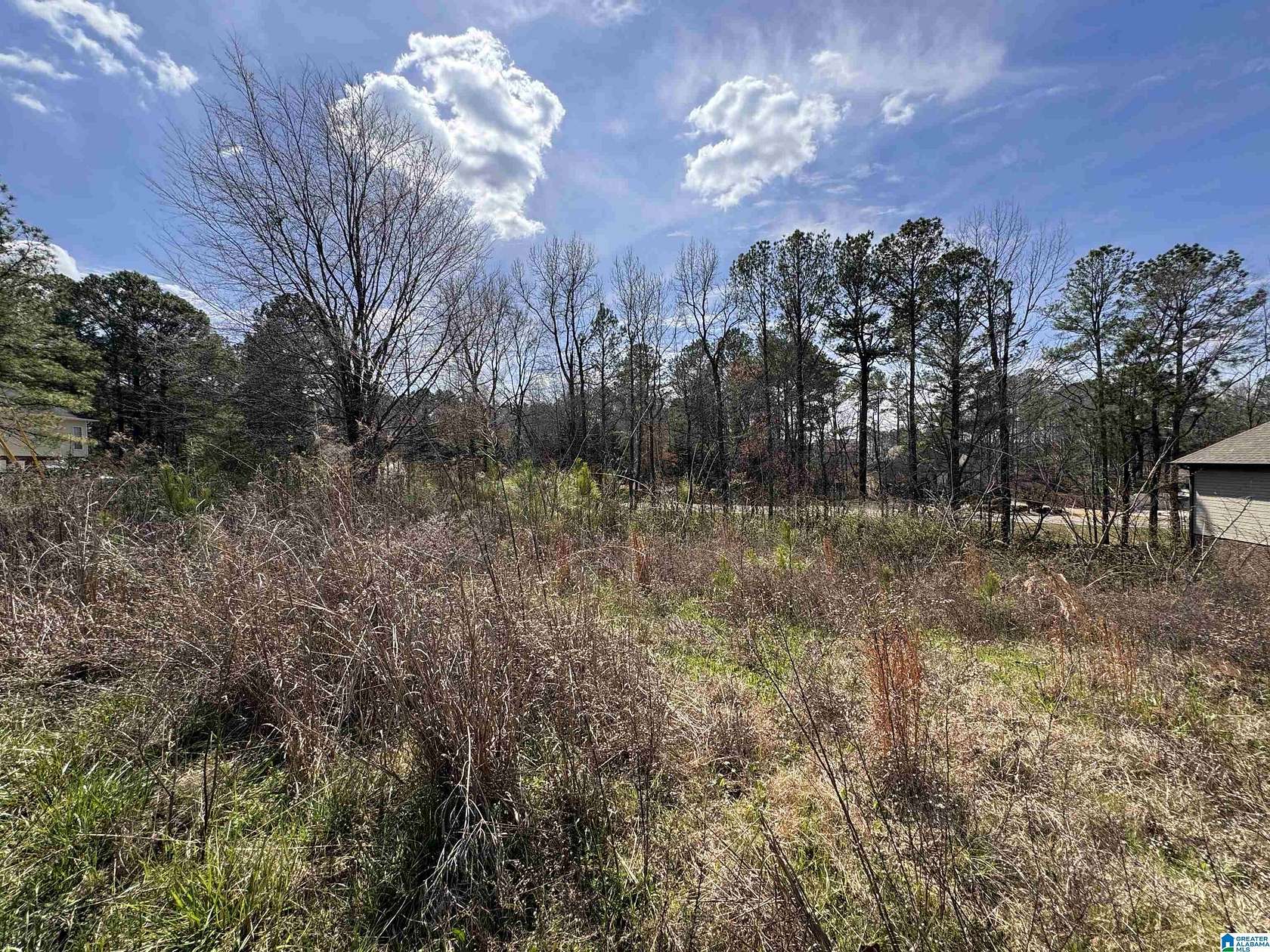 0.28 Acres of Residential Land for Sale in Calera, Alabama