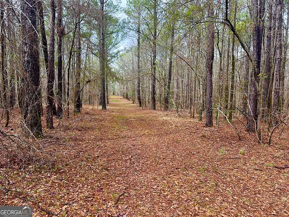 34 Acres of Recreational Land & Farm for Sale in Butler, Georgia