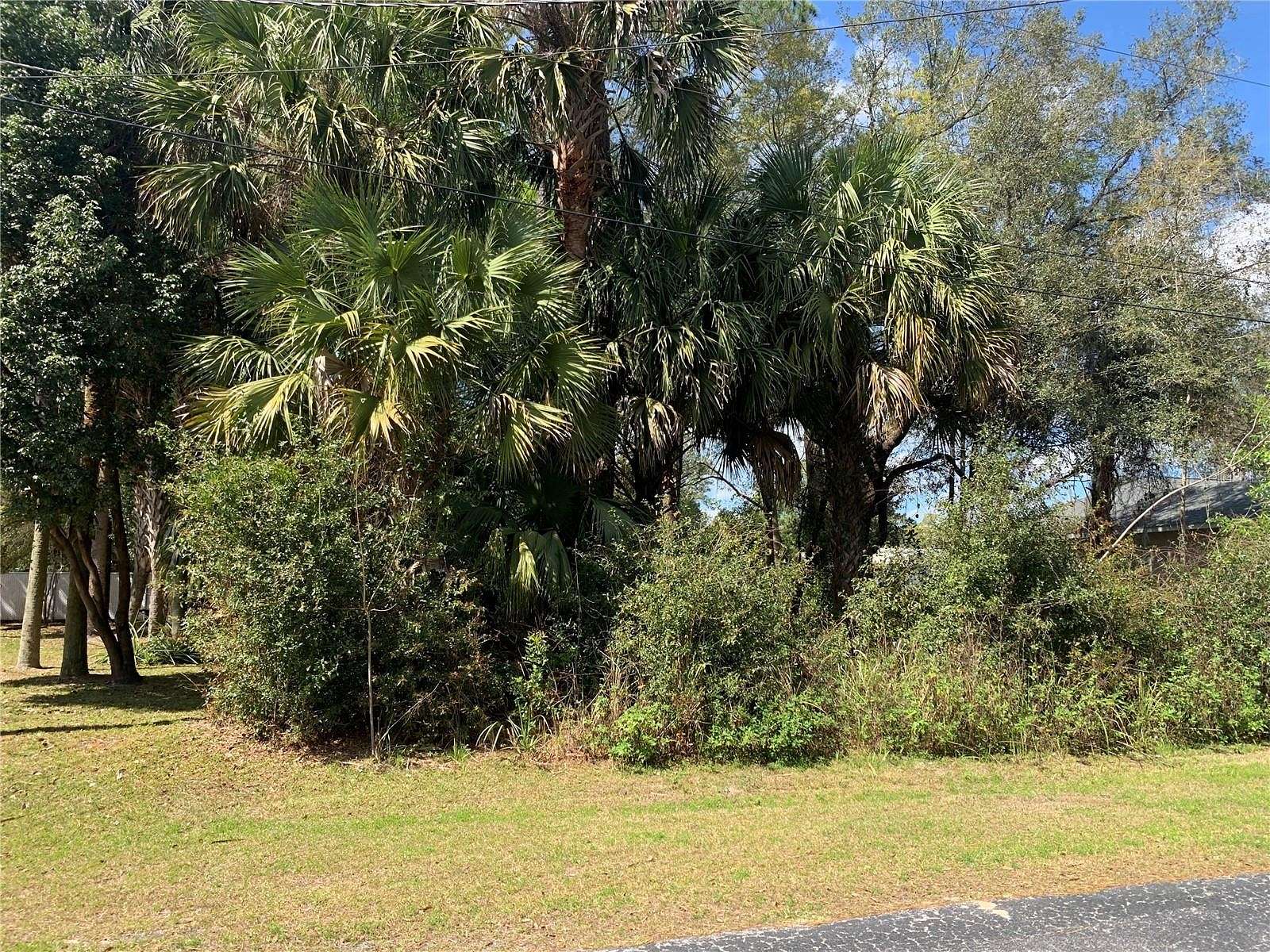 0.19 Acres of Residential Land for Sale in Silver Springs, Florida