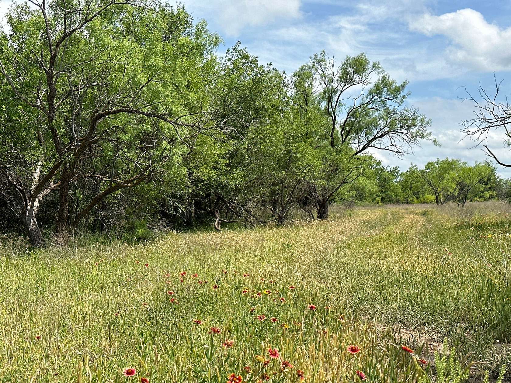 13.1 Acres of Recreational Land for Sale in Abilene, Texas
