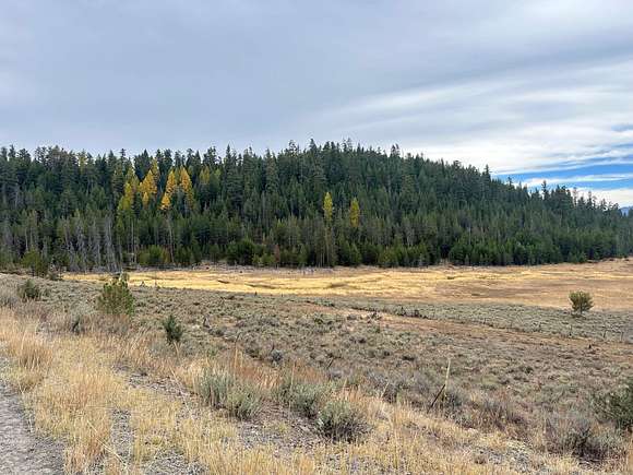 40 Acres of Recreational Land for Lease in Baker City, Oregon