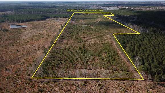51 Acres of Recreational Land for Sale in Orangeburg, South Carolina