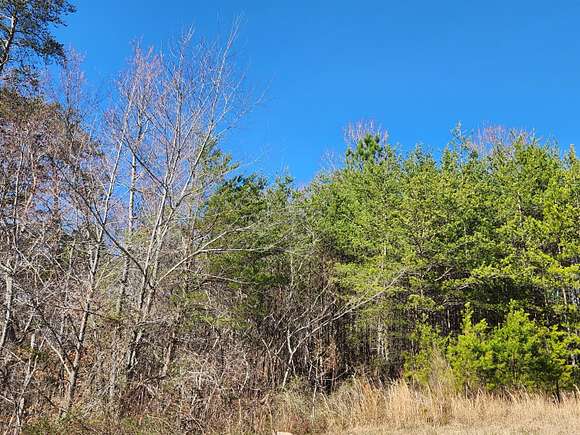 0.53 Acres of Residential Land for Sale in Dayton, Tennessee