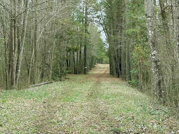 20 Acres of Recreational Land for Sale in McCormick, South Carolina