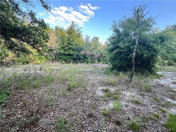 0.29 Acres of Residential Land for Sale in Crystal River, Florida