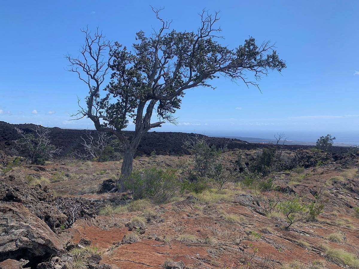 3 Acres of Land for Sale in Nāʻālehu, Hawaii