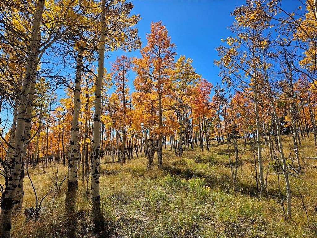 10 Acres of Land for Sale in Fairplay, Colorado