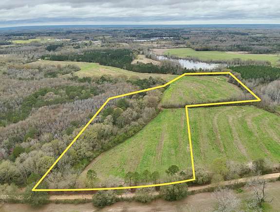 20 Acres of Land for Sale in Slocomb, Alabama