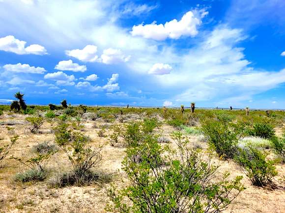 10 Acres of Recreational Land for Sale in Pecos, Texas