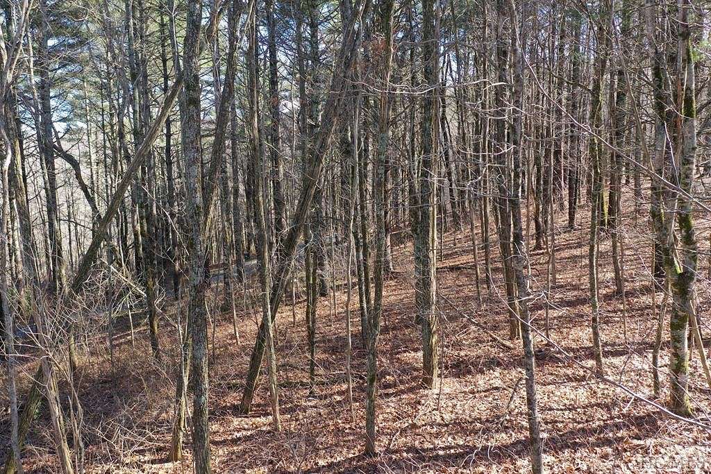 1.1 Acres of Land for Sale in Glenville, North Carolina