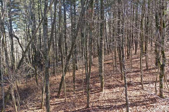 1.1 Acres of Land for Sale in Glenville, North Carolina