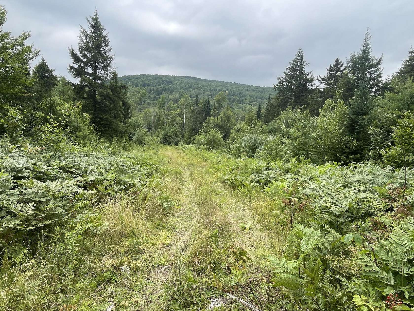 565 Acres of Recreational Land for Sale in Rumford, Maine