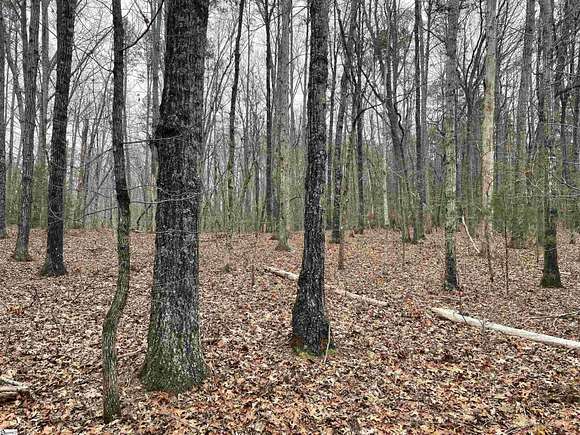 7.5 Acres of Land for Sale in Tamassee, South Carolina