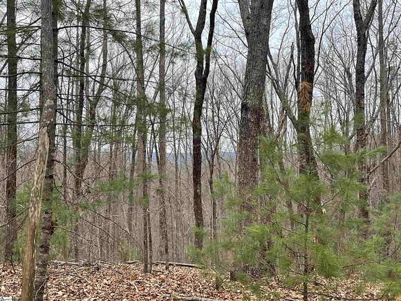 7.5 Acres of Land for Sale in Tamassee, South Carolina