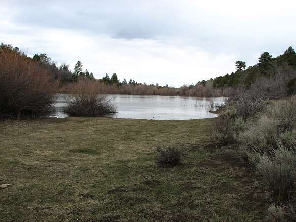 35 Acres of Recreational Land & Farm for Sale in Montrose, Colorado