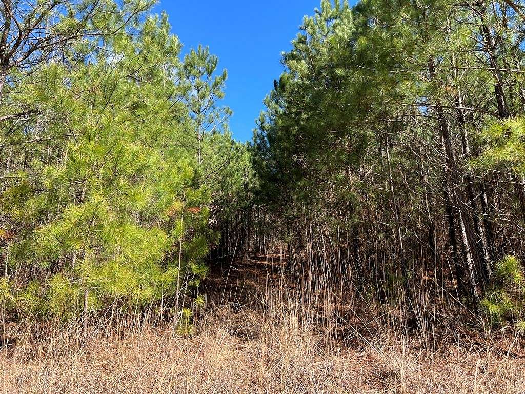 12.3 Acres of Land for Sale in White, Georgia
