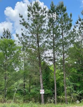 1.27 Acres of Residential Land for Sale in Broken Bow, Oklahoma