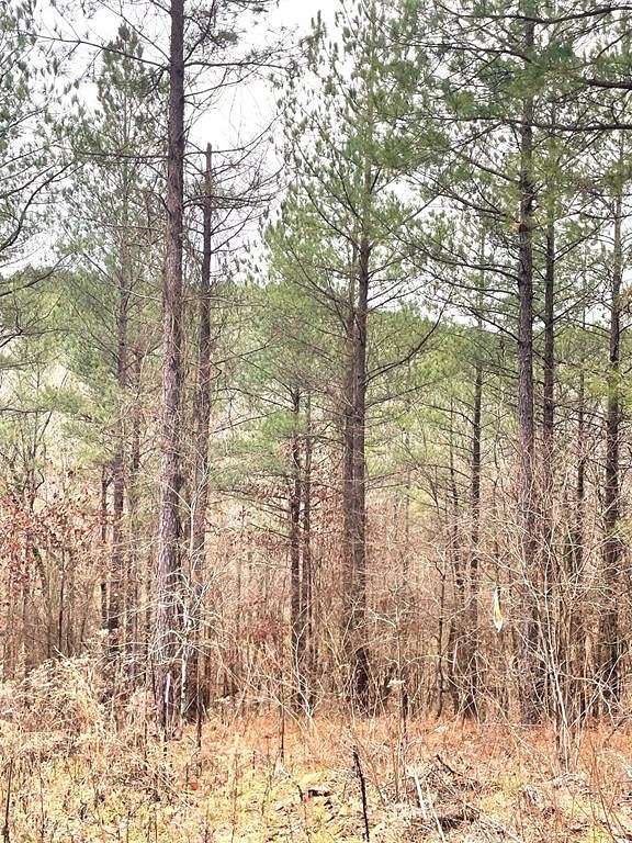 1.38 Acres of Residential Land for Sale in Broken Bow, Oklahoma