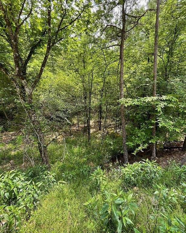 1.202 Acres of Residential Land for Sale in Broken Bow, Oklahoma