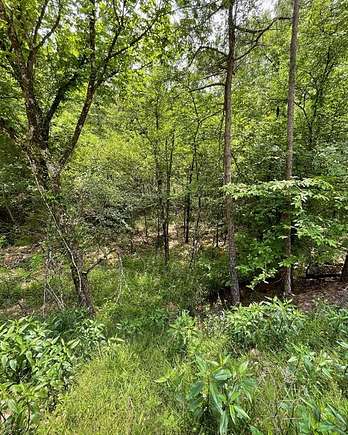 1.202 Acres of Residential Land for Sale in Broken Bow, Oklahoma