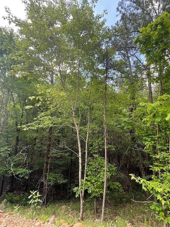 1.2 Acres of Residential Land for Sale in Broken Bow, Oklahoma