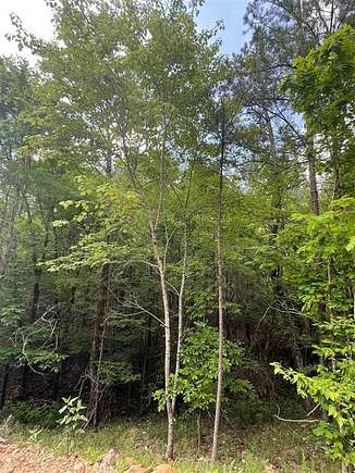1.188 Acres of Residential Land for Sale in Broken Bow, Oklahoma