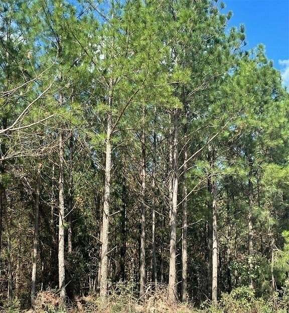 1.2 Acres of Residential Land for Sale in Broken Bow, Oklahoma